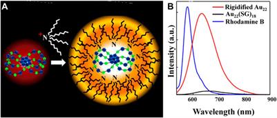 Gold nanoclusters: Photophysical properties and photocatalytic applications